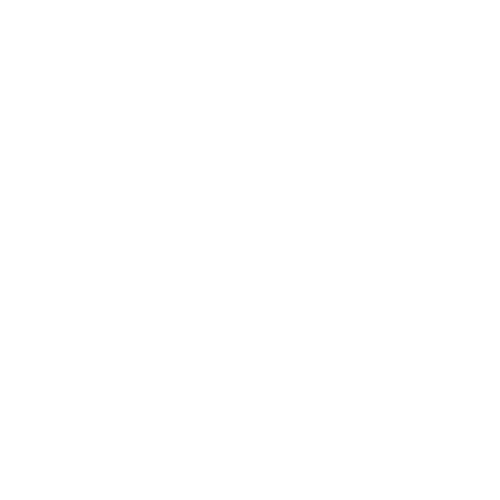 RPM works with Lexus Dealers